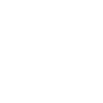 Aden Beer Festival - Brew Toon Aden Beer Festival - Brew Toon